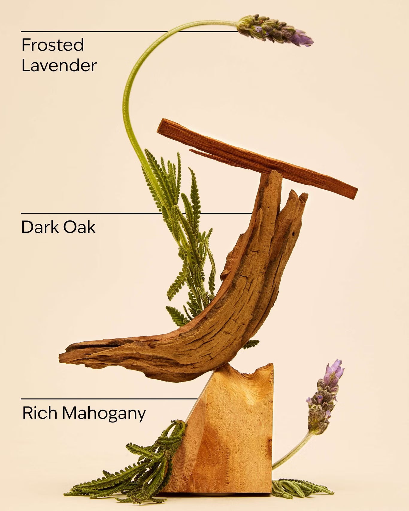 Mahogany Teakwood Cologne